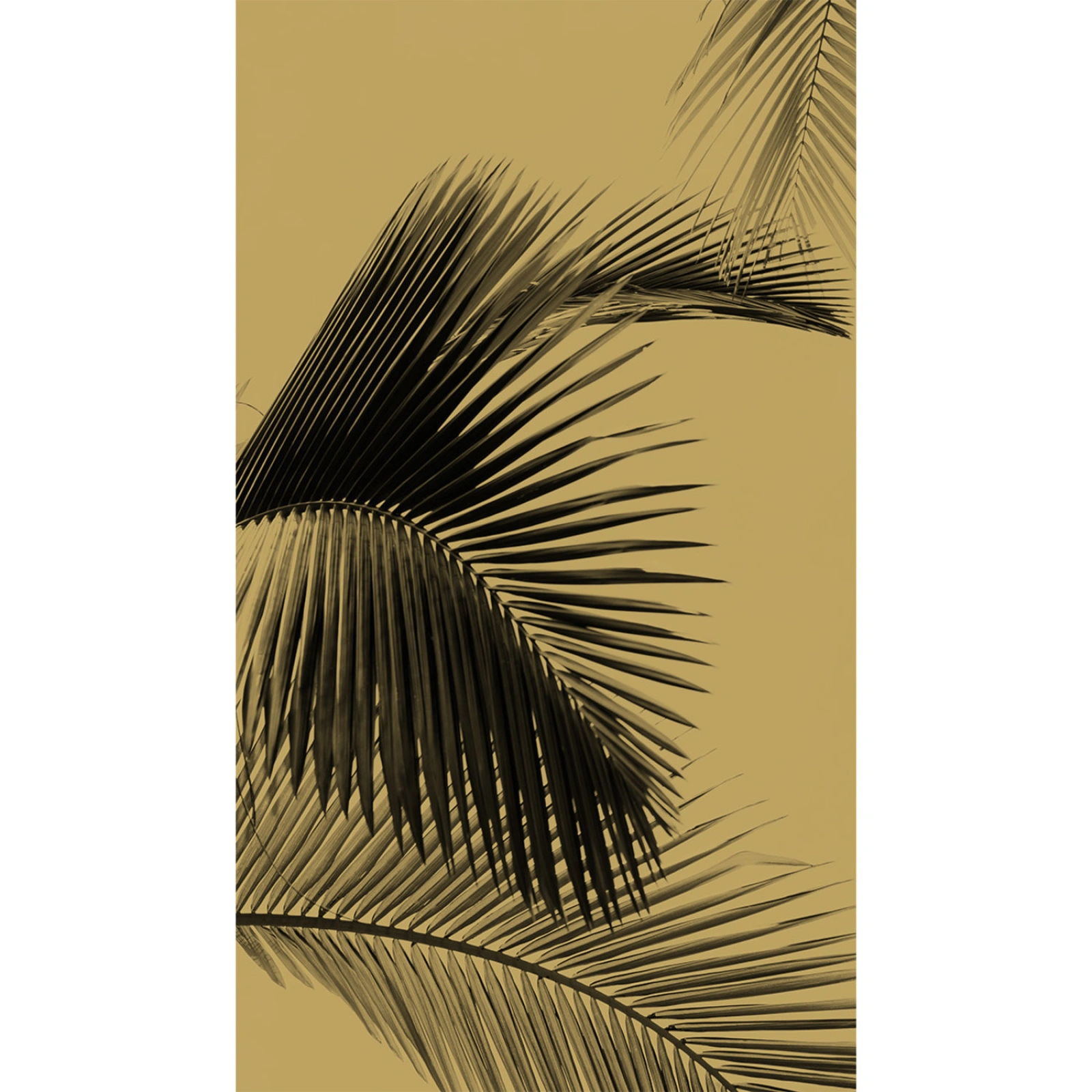 Caselio Moonlight Panoramique Honey Palm